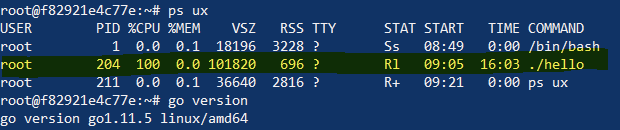 process stats for a program